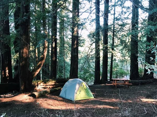 Shanti Permaculture Farm
