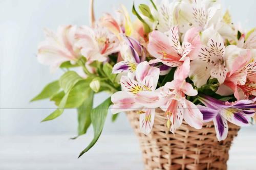 Fleuriste Les Coteaux inc.