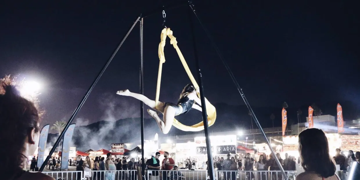 LA Aerialists