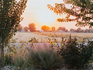 Sunflower Lane Weddings & Events