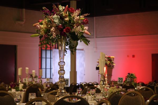 Auburn Cord Duesenberg Automobile Museum