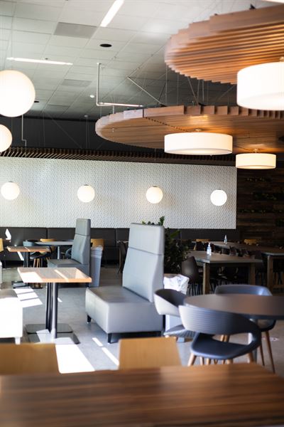 Why Cook? Cafe & Catering