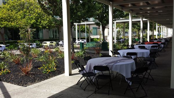 Why Cook? Cafe & Catering