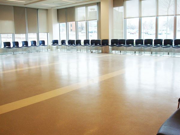 University Of Southern Maine