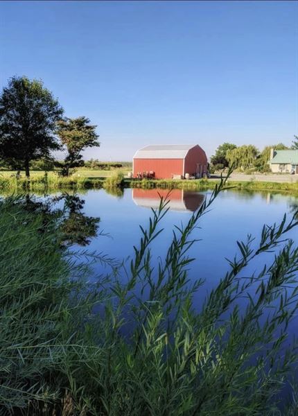 Willow Barn Ranch