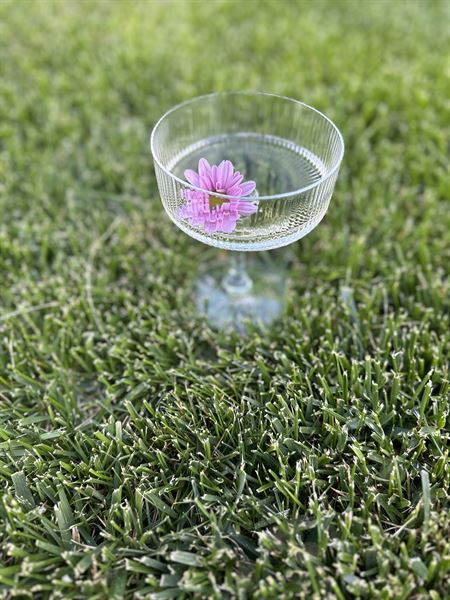 Lo+Co Events | Boutique Rentals