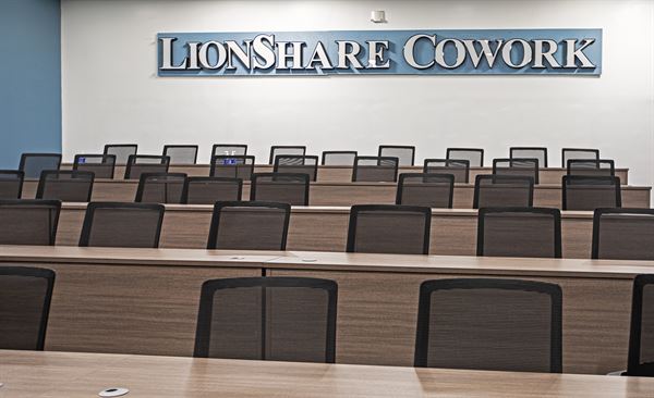 LionShare Cowork