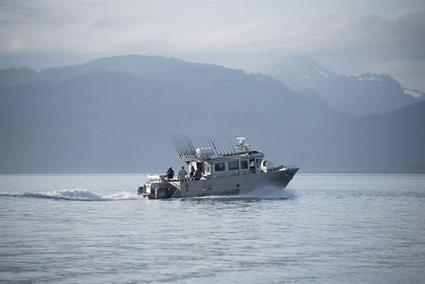 Alaska Ocean Pros Homer Alaska Halibut Charters
