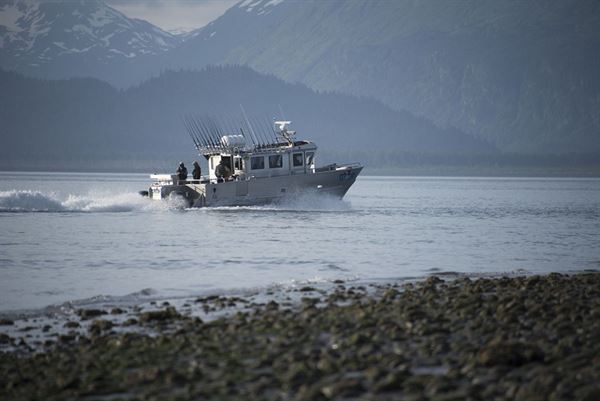 Alaska Ocean Pros Homer Alaska Halibut Charters