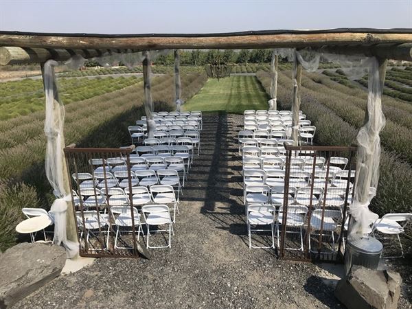 Trinity Gardens Lavender Farm