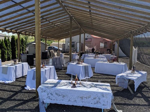 Trinity Gardens Lavender Farm