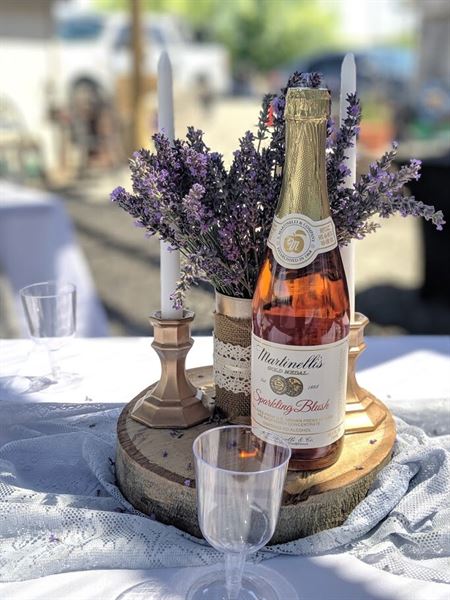 Trinity Gardens Lavender Farm