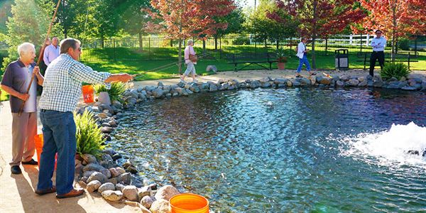 Running Aces Harness Park