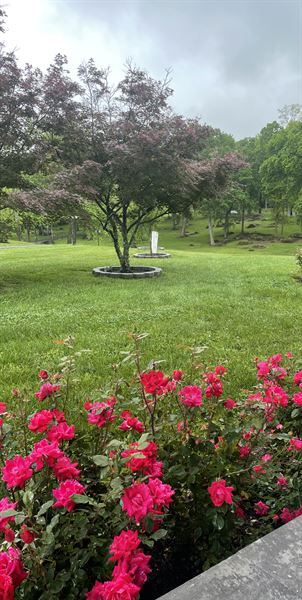 Lulu Bee Weddings and Events