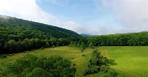 Ceremony + Reception in the Mountains