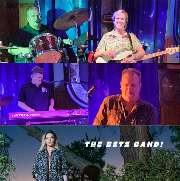 The Bitz- Wedding/Corporate/Variety Cover Band