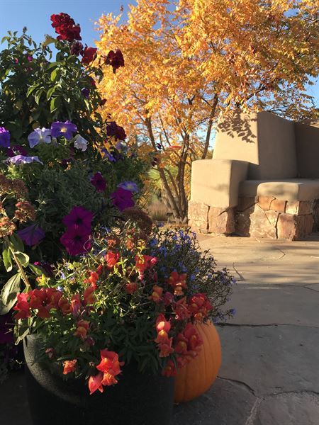 Santa Fe Botanical Garden