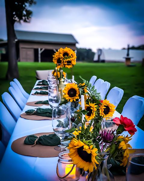 Sunflower Club at Kairos