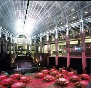 Professional Image LLC