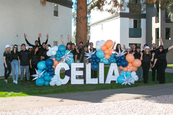 Perfect Party Planner