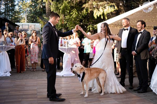 Mt Hood Skibowl Winter & Summer Resort