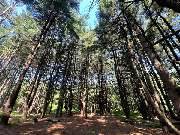 The Schuylkill Center for Environmental Education