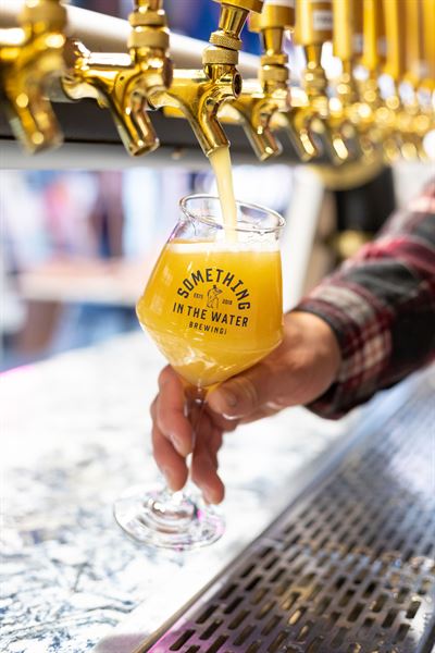 Something in the Water Kingston