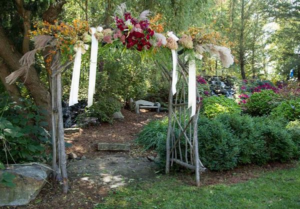 Everlastings in the Wildwood