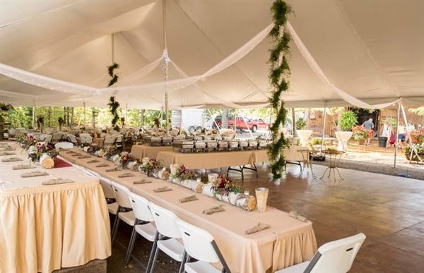 Everlastings in the Wildwood