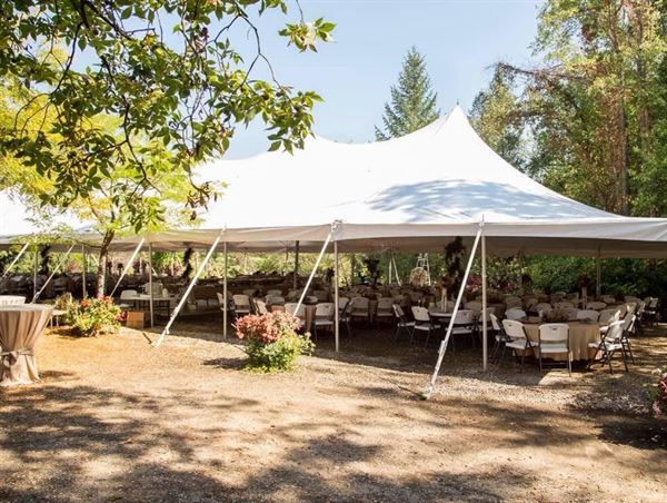 Everlastings in the Wildwood