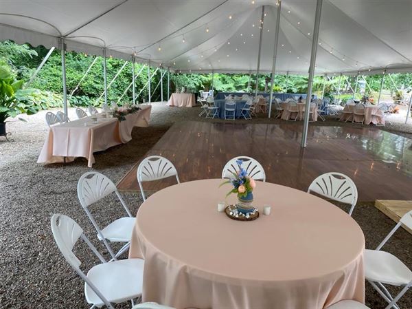 Everlastings in the Wildwood