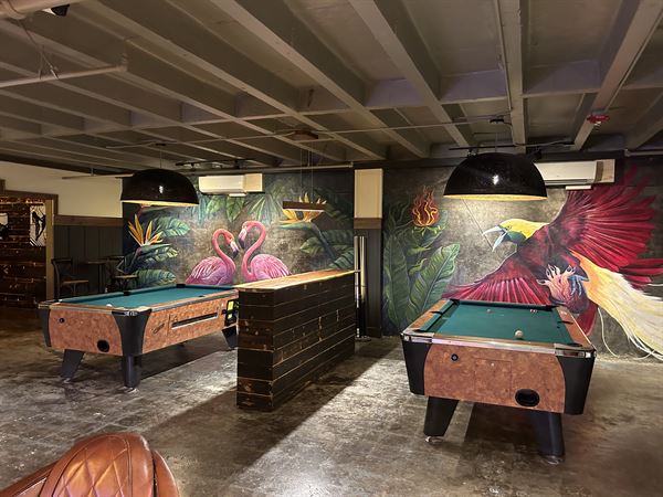 The Dirty Bird of Paradise