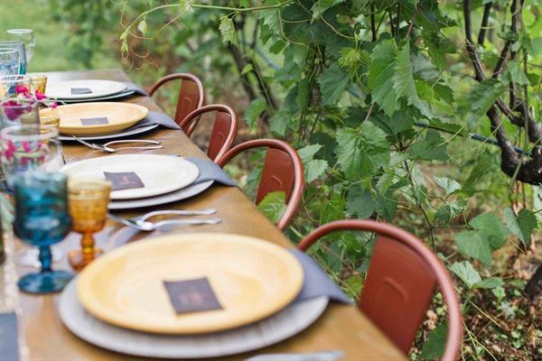 Grovedale Winery & Vineyards