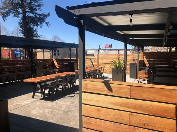 The Dirty Bird of Paradise