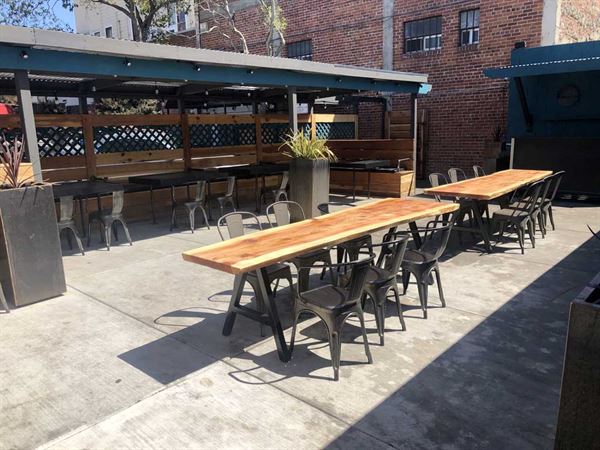 The Dirty Bird of Paradise