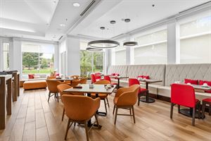 Wild Goose Pub and Lobby