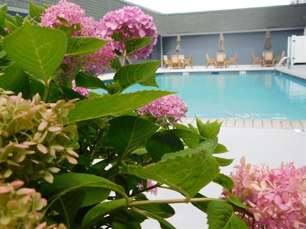 Comfort Inn and Suites Glen Mills