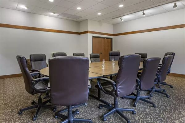 Comfort Inn Okemos - East Lansing