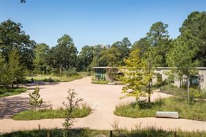 Nature Center Courtyard