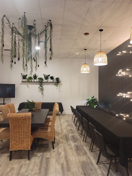 Oasis Events Collective