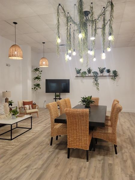 Oasis Events Collective