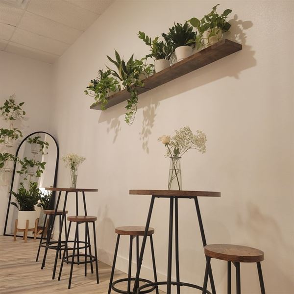 Oasis Events Collective