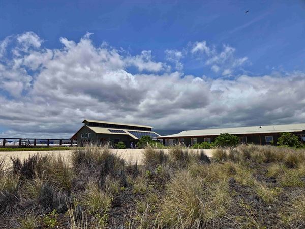 Kona Salt Farm