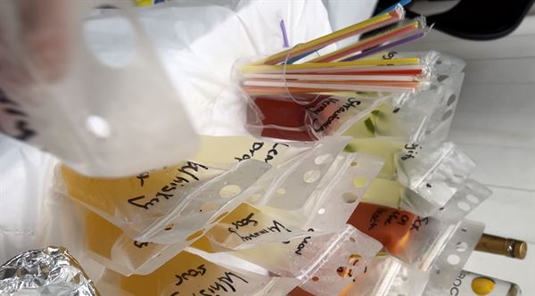 Henny’s Hangout LLC