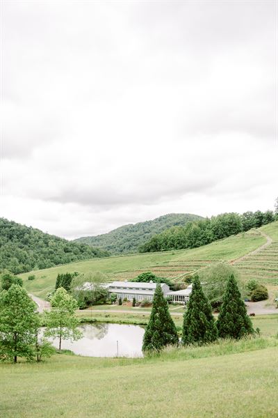 Mountain & Vine Vineyards and Winery