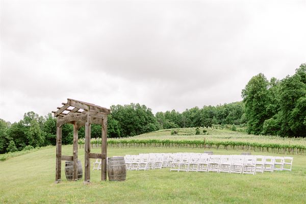 Mountain & Vine Vineyards and Winery