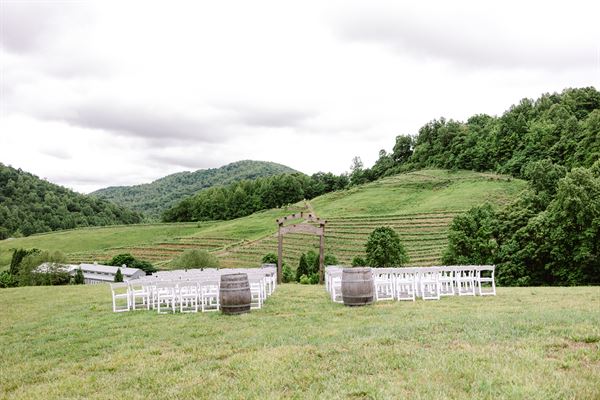 Mountain & Vine Vineyards and Winery