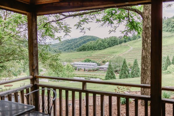 Mountain & Vine Vineyards and Winery