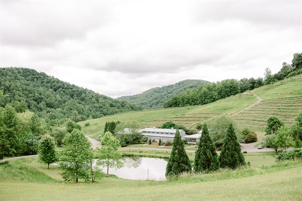 Mountain & Vine Vineyards and Winery