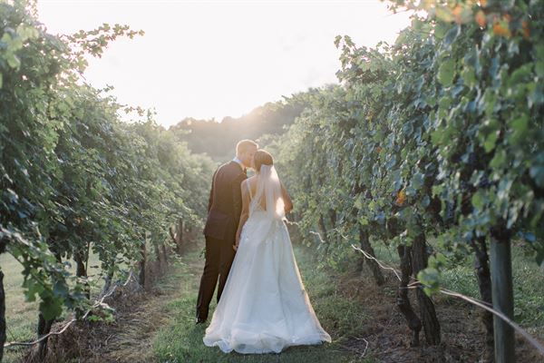 Mountain & Vine Vineyards and Winery